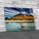 Guanaco At Torres Del Paine Chile Canvas Print Large Picture Wall Art