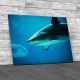 Reef Shark And Fish Canvas Print Large Picture Wall Art