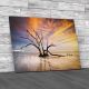 Dead Tree At Sunset South Carolina Canvas Print Large Picture Wall Art