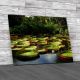 Water Lilies In The Amazon Canvas Print Large Picture Wall Art