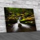 Waterfalls In Roaring Fork Nature Trail Canvas Print Large Picture Wall Art