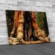Grizzly Giant In Yosemites Mariposa Grove Canvas Print Large Picture Wall Art