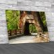 Chandelier Tree Yosemite National Park Canvas Print Large Picture Wall Art