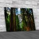 Yosemite Waterfalls Yosemite National Park Canvas Print Large Picture Wall Art