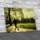 Evening Runner In London Green Park Canvas Print Large Picture Wall Art