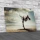 Karate Girl Kick Canvas Print Large Picture Wall Art