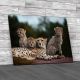Cheetah And Her Cubs Canvas Print Large Picture Wall Art