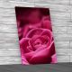 Floral Rose Petal Flower Canvas Print Large Picture Wall Art