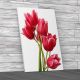 Floral Flowers Tulips Canvas Print Large Picture Wall Art