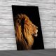 Male Lion on Guard Canvas Print Large Picture Wall Art