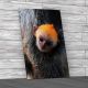 Baby Silver Leaf Monkey Canvas Print Large Picture Wall Art
