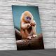 Baby Monkey on Birch Canvas Print Large Picture Wall Art