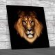 Lion Face and Lions Head Square Canvas Print Large Picture Wall Art