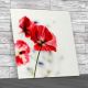 Floral Flowers Poppies 2 Square Canvas Print Large Picture Wall Art
