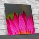 Tropical Flower Square Canvas Print Large Picture Wall Art