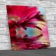 Flower Reflect On Water Square Canvas Print Large Picture Wall Art