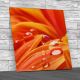 Flowers Leaves Droplets Square Canvas Print Large Picture Wall Art