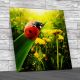 Ladybug Sunlight On The Field Square Canvas Print Large Picture Wall Art