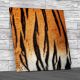 Tiger Fur Square Canvas Print Large Picture Wall Art