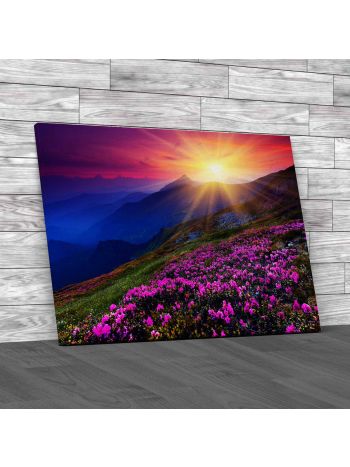Flowering Hills Sunset Canvas Print Large Picture Wall Art
