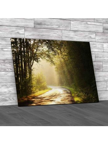 Misty Foggy Dirt Road Canvas Print Large Picture Wall Art