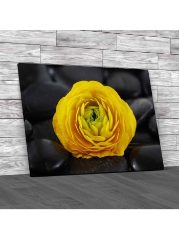 Isolated Rose On Pebbles Canvas Print Large Picture Wall Art