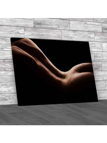 Nude Erotic Bare Bottom Canvas Print Large Picture Wall Art