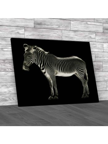 Zebra Pattern Square Canvas Print Large Picture Wall Art