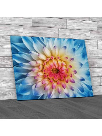 Floral Rare Flower Canvas Print Large Picture Wall Art