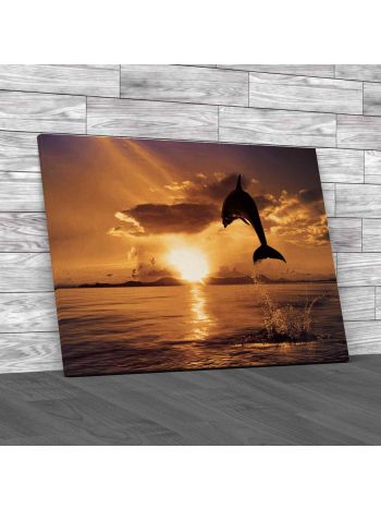 Flying Dophin In Ocean Canvas Print Large Picture Wall Art