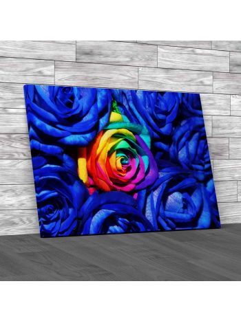 Multi Coloured Roses Canvas Print Large Picture Wall Art