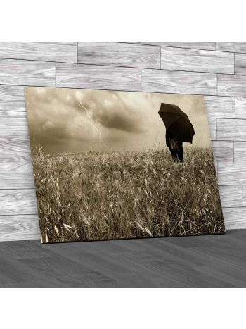 Watch Lightning In Field Canvas Print Large Picture Wall Art