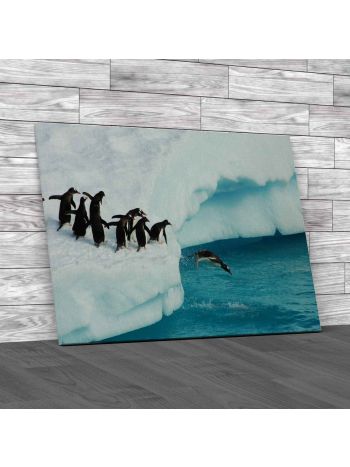 Penguins Diving Off Snow Canvas Print Large Picture Wall Art