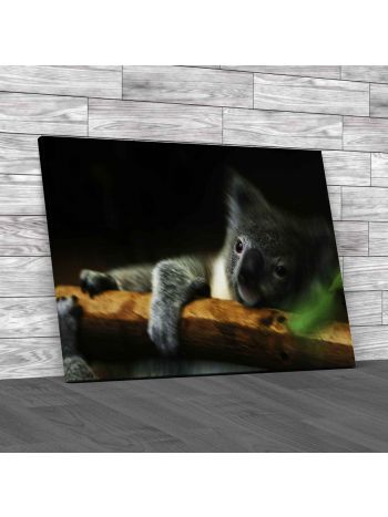 Baby Koala Canvas Print Large Picture Wall Art