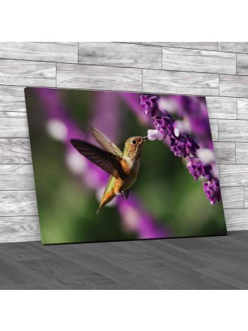 Hummingbird Hovering Canvas Print Large Picture Wall Art