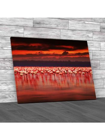 African Flamingos Canvas Print Large Picture Wall Art