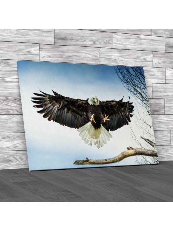 American Bald Eagle Canvas Print Large Picture Wall Art