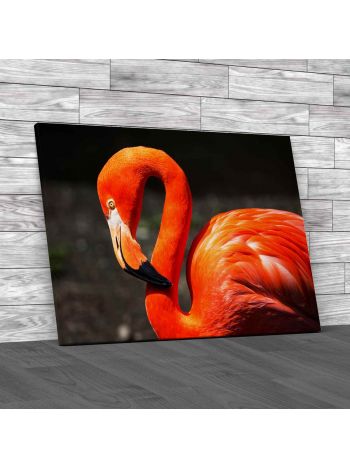 American Flamingo Canvas Print Large Picture Wall Art
