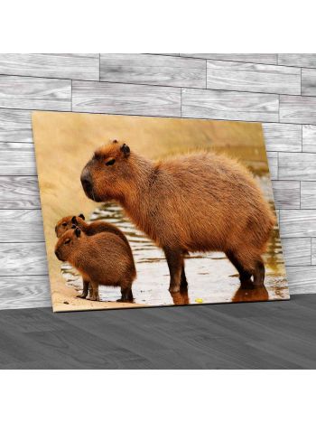 Capybara With Her Babies Canvas Print Large Picture Wall Art