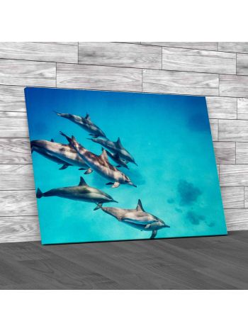 A Pod Of Spinner Dolphins Canvas Print Large Picture Wall Art