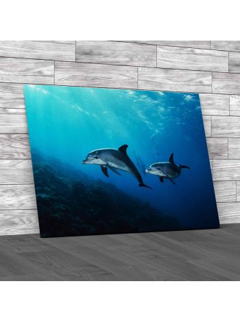 Dolphins In The Sea Canvas Print Large Picture Wall Art
