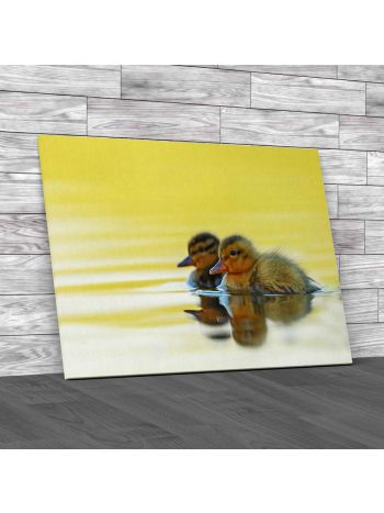 Two Ducklings Canvas Print Large Picture Wall Art