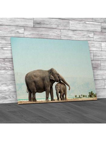 Elephant Mother And Baby Canvas Print Large Picture Wall Art