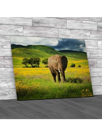 Elephant With Yellow Wild Flowers Canvas Print Large Picture Wall Art