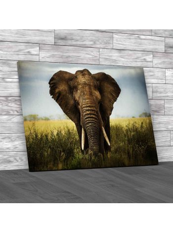 Elephant Canvas Print Large Picture Wall Art
