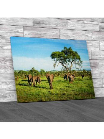 Elephants In African Savannah Canvas Print Large Picture Wall Art