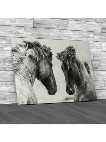 Weathered Horses Canvas Print Large Picture Wall Art