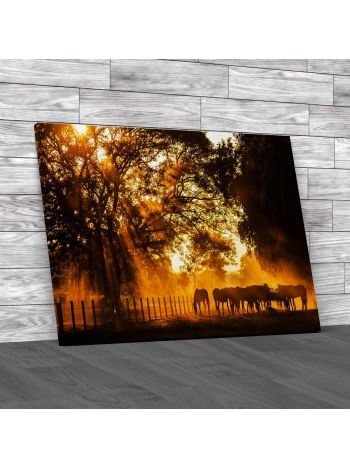 Golden Light In The Stables Canvas Print Large Picture Wall Art