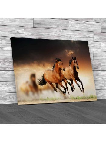 Horses In Sunset Canvas Print Large Picture Wall Art