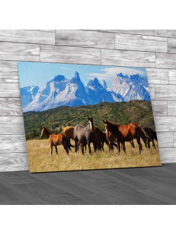 Wild Horses In Patagonia Canvas Print Large Picture Wall Art